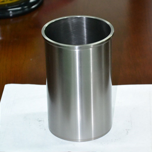 Cylinder Liner TD27