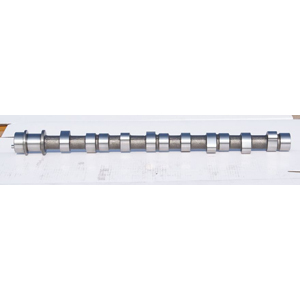 Camshaft H100