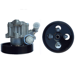 Power Steering Pump 40076A