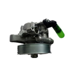 Power Steering Pump 56110-R60-P02