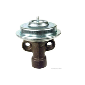 EGR Valve EGV540