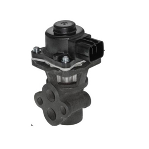 EGR Valve EGV1005