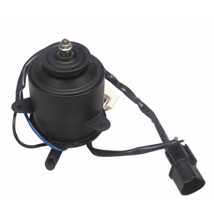 Fan Motor 062500-0111