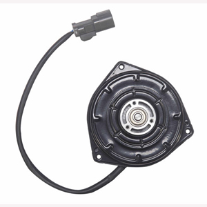 Fan Motor 065000-1792