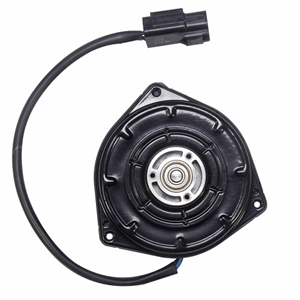 Fan Motor 065000-2061